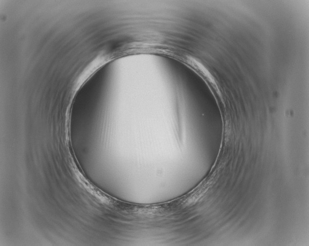 X0000059081386200510211531