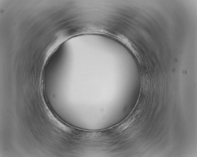 X0000059081387200510211531