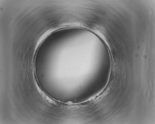 X0000059081389200510211531