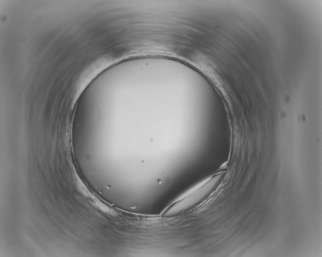 X0000059081390200510211531