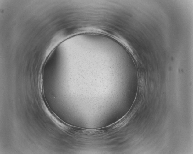 X0000059081391200510211531