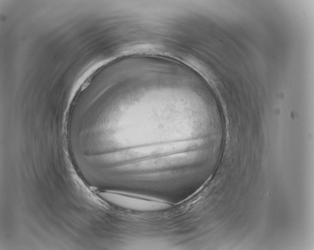 X0000059081392200510211531