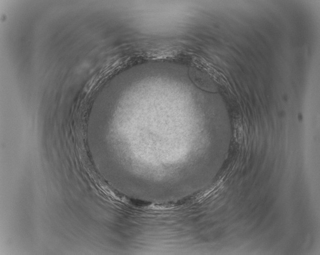 X0000059081393200510211530