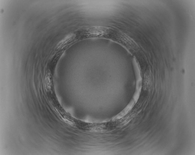 X0000059081394200510211530