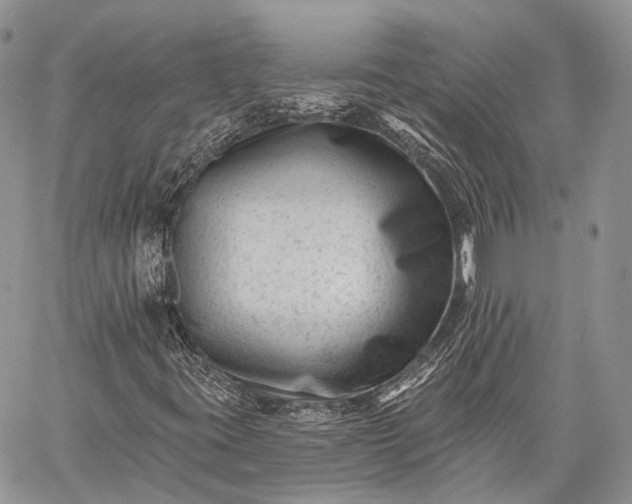 X0000059081395200510211530