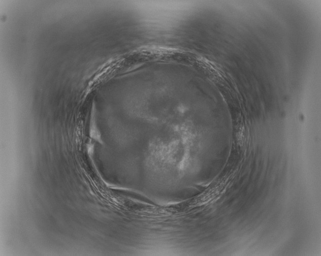 X0000059081397200510211530