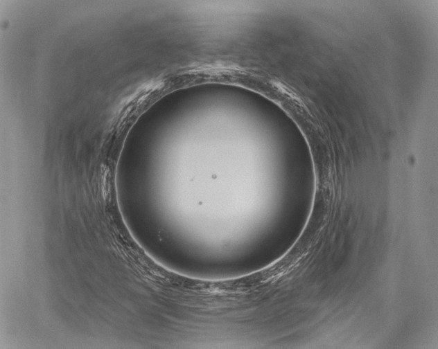 X0000059081398200510211530