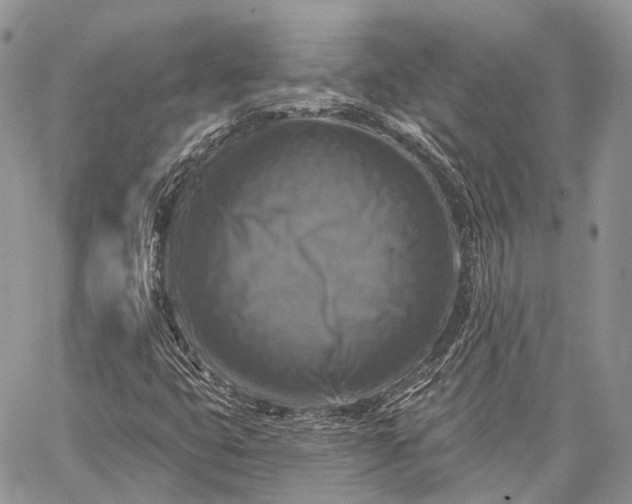 X0000059081399200510211530