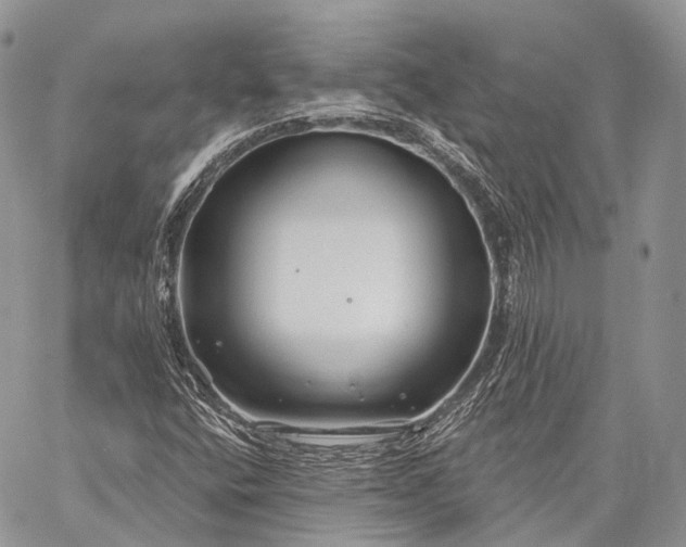 X0000059081400200510211530