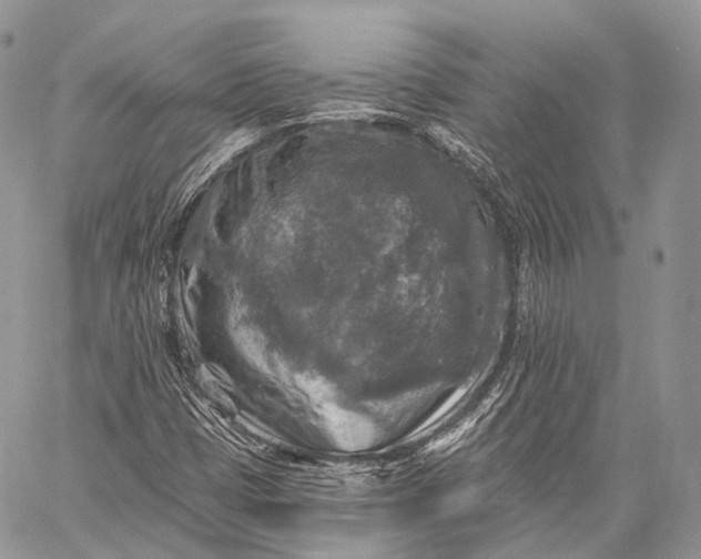 X0000059081401200510211530