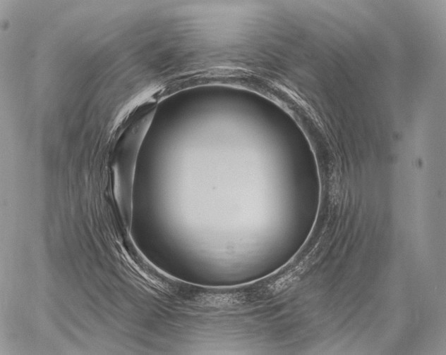 X0000059081402200510211530