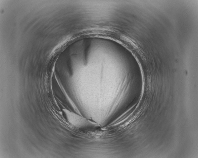 X0000059081403200510211530