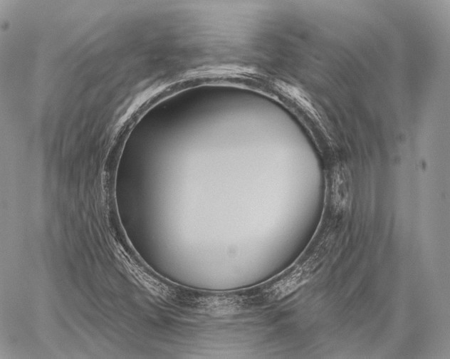 X0000059081404200510211530