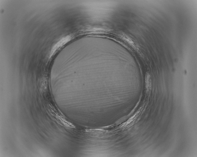 X0000059081405200510211530