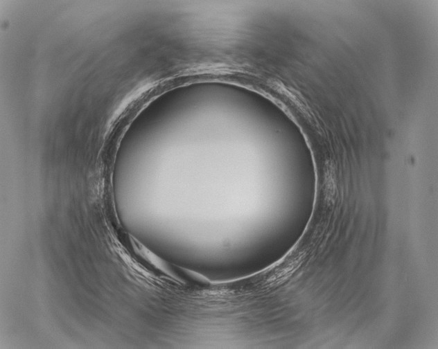 X0000059081406200510211530