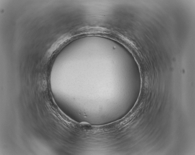 X0000059081407200510211530