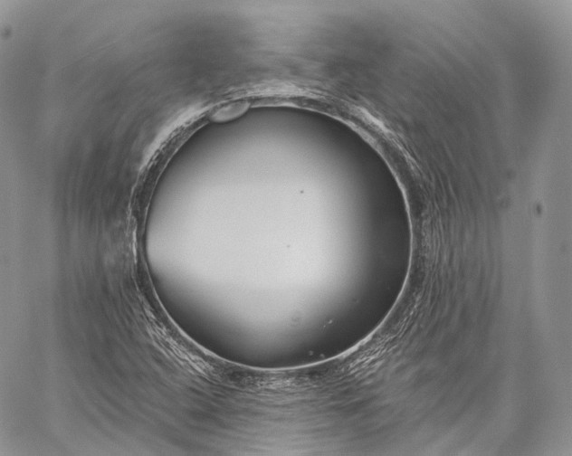 X0000059081408200510211530