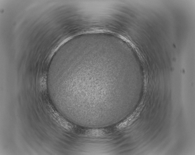 X0000059081409200510211530