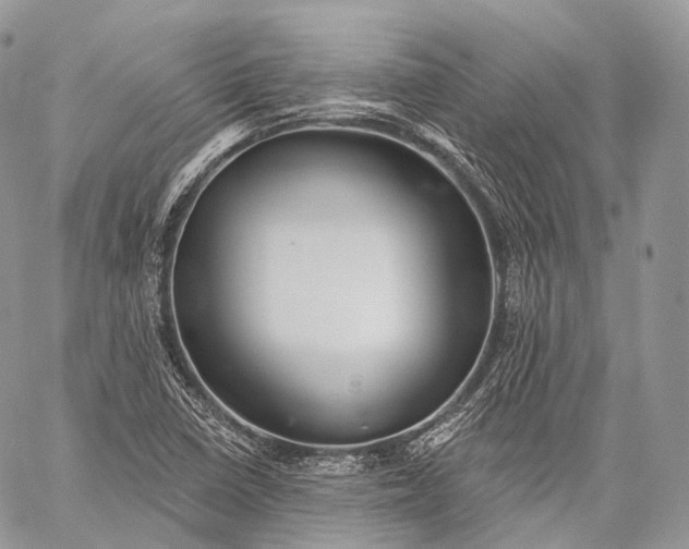 X0000059081410200510211530