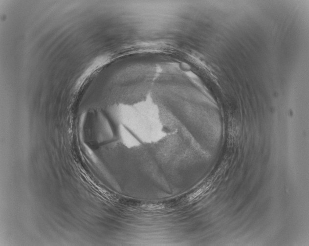 X0000059081411200510211530