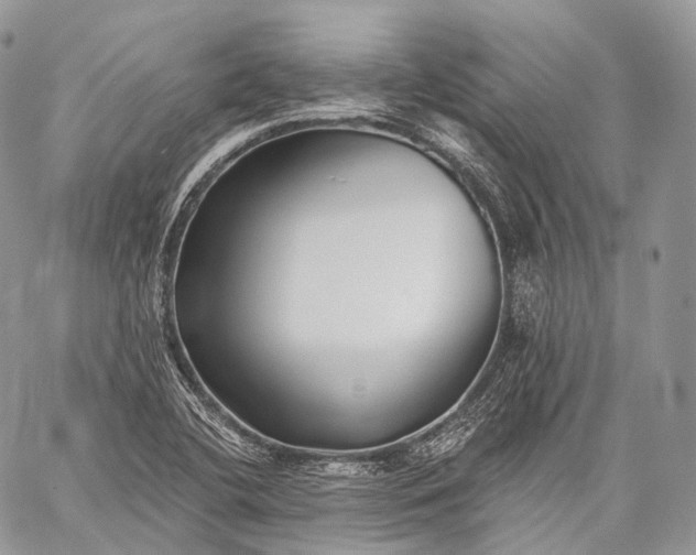 X0000059081412200510211530