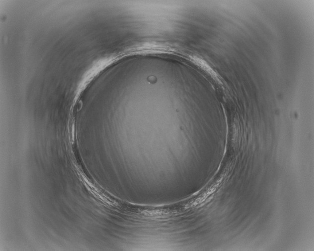 X0000059081413200510211530