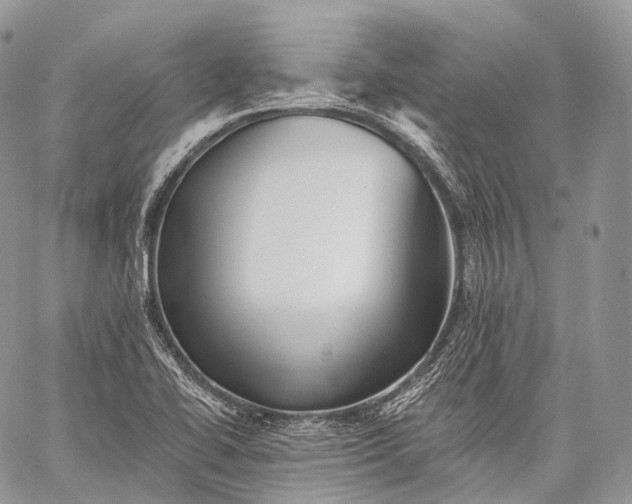 X0000059081414200510211530