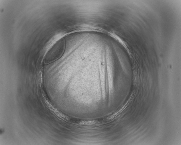 X0000059081415200510211530