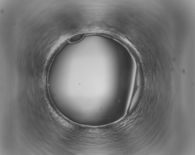 X0000059081416200510211530