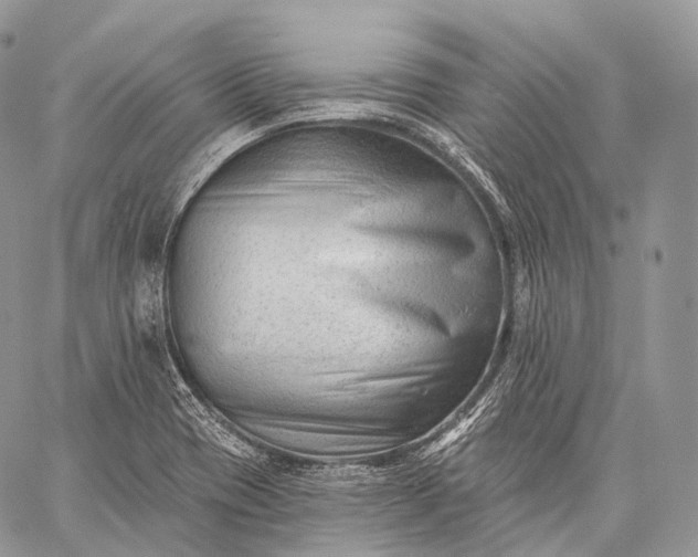 X0000059081417200510211530