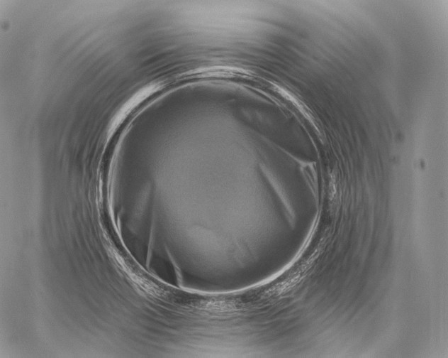 X0000059081418200510211530