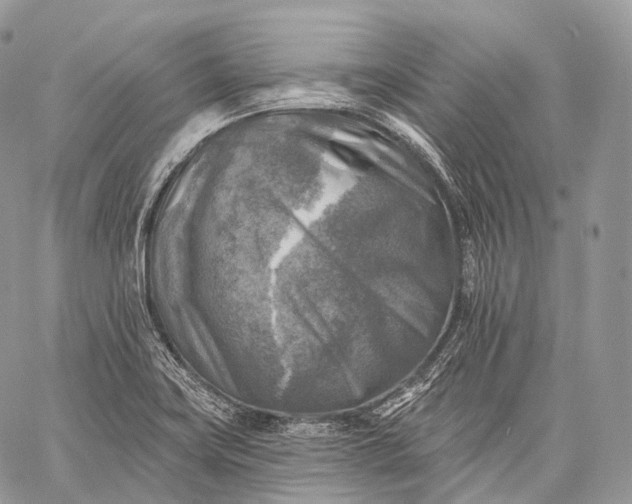 X0000059081419200510211530