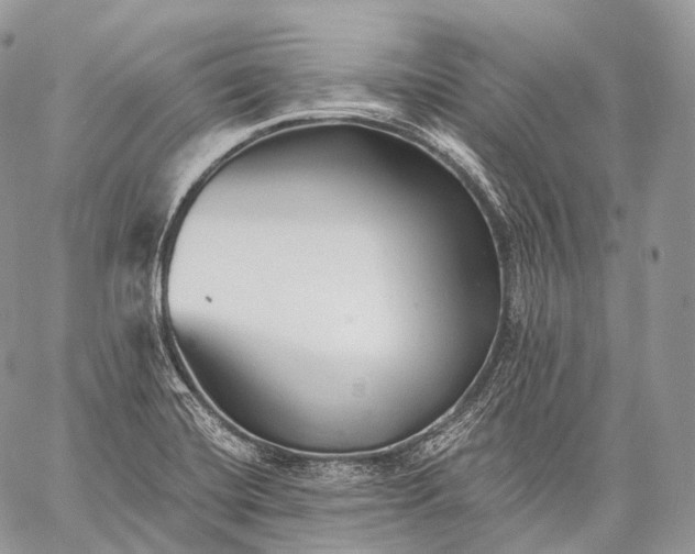 X0000059081420200510211530