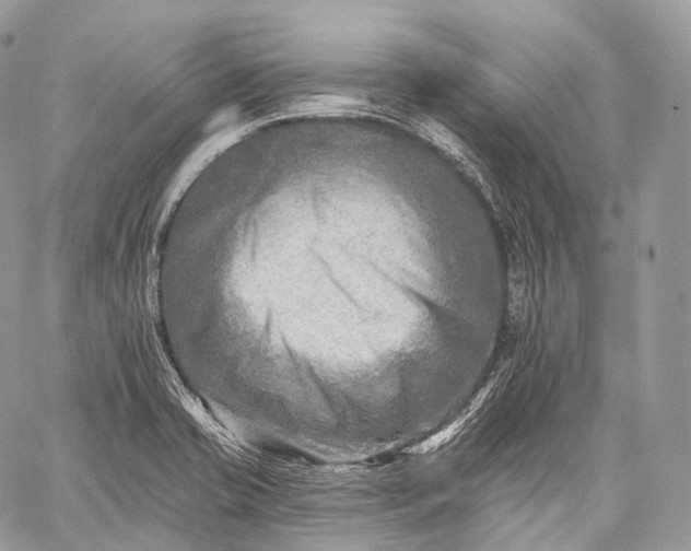 X0000059081421200510211530