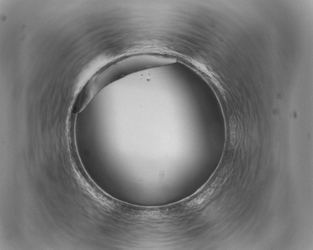 X0000059081422200510211530