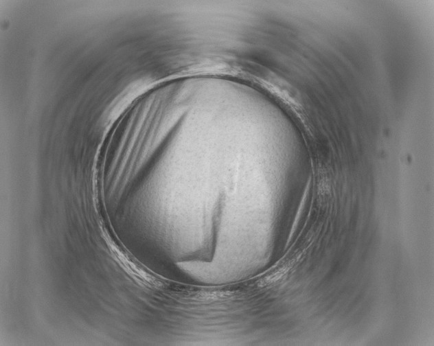 X0000059081423200510211530