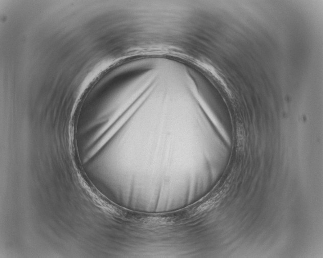 X0000059081424200510211530