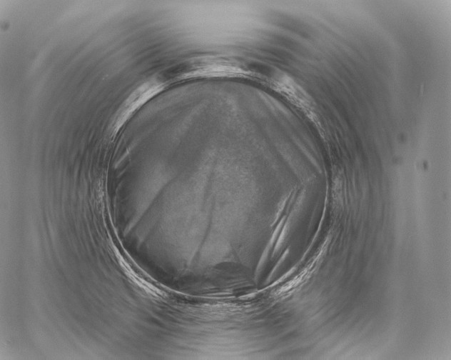 X0000059081425200510211530