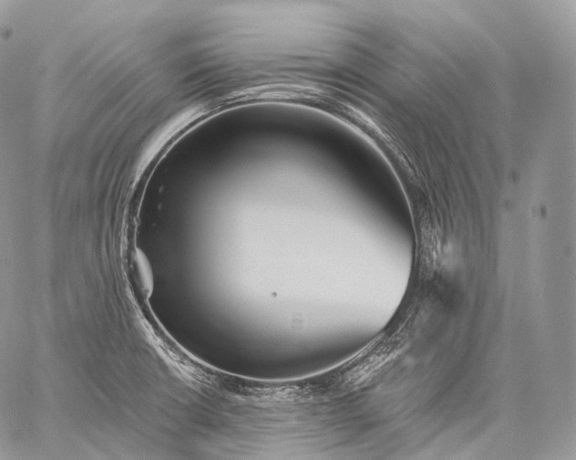 X0000059081426200510211530