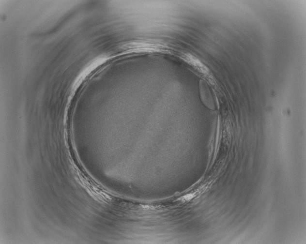 X0000059081427200510211530