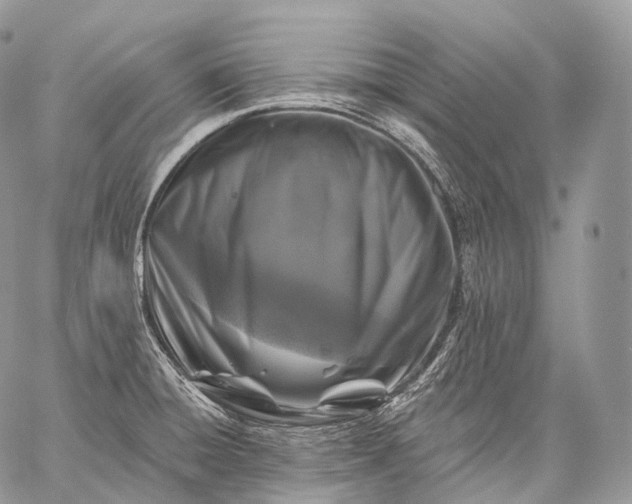 X0000059081428200510211530