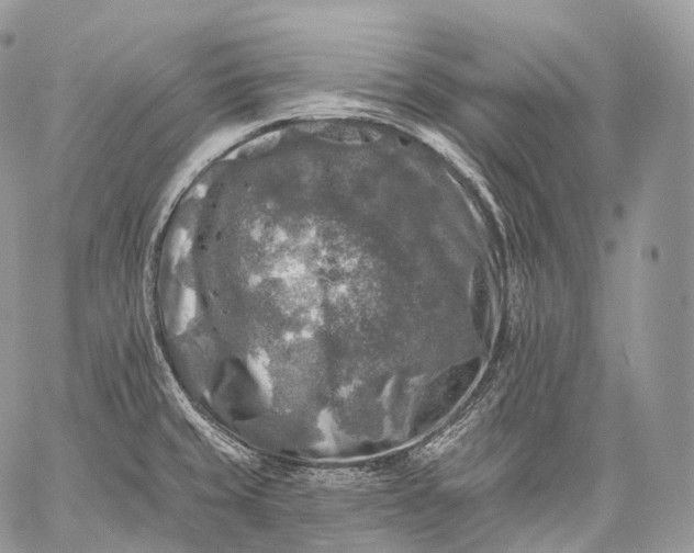 X0000059081429200510211530