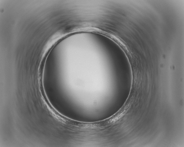 X0000059081430200510211531