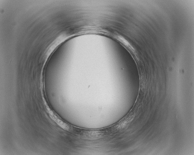 X0000059081431200510211531