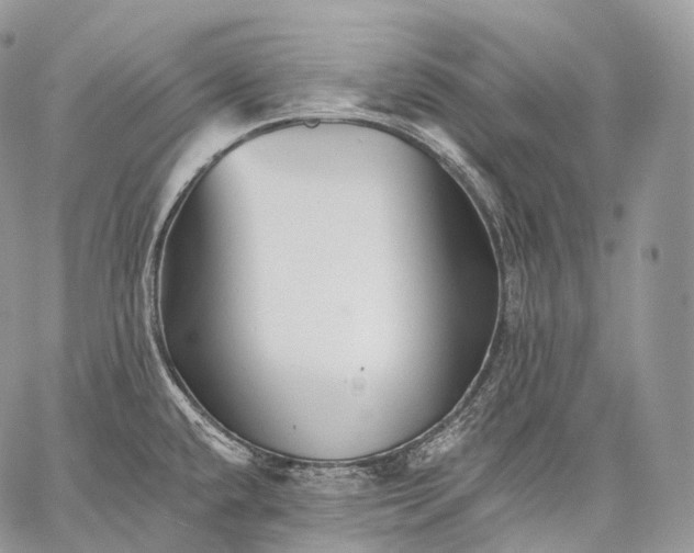 X0000059081432200510211531