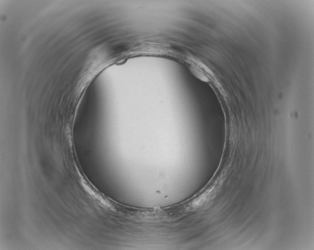 X0000059081433200510211531