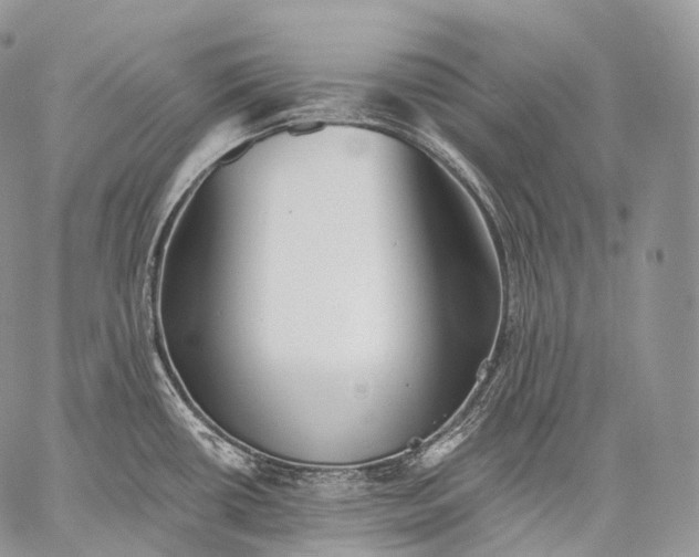 X0000059081434200510211531