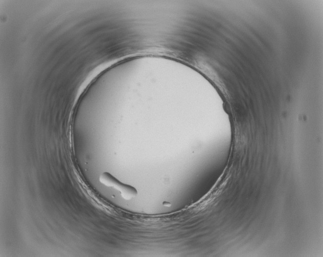 X0000059081436200510211531