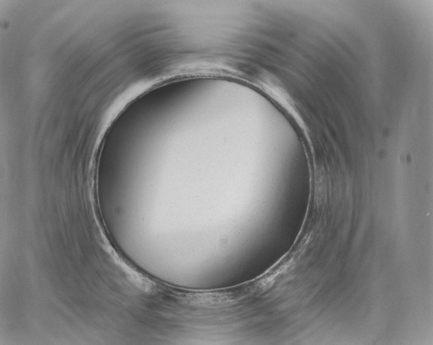 X0000059081437200510211531