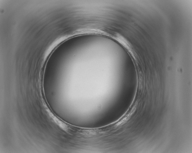 X0000059081438200510211531